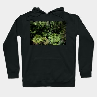 Untouched Forest Hoodie